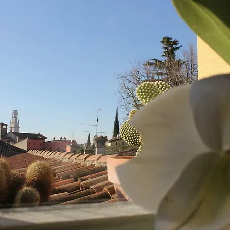 La Torretta Appartamento